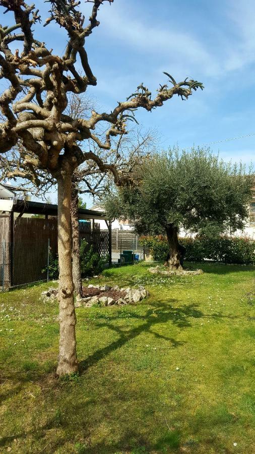 Villa Bracci Molinaccio Екстер'єр фото